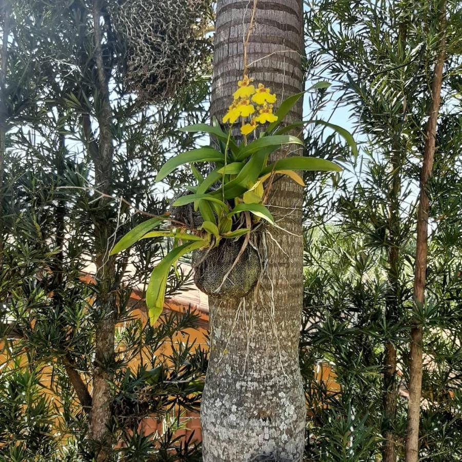 Chácara em Atibaia Vila Exterior foto